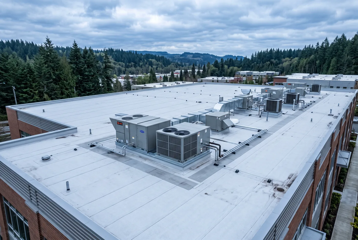 Commercial Roofing in Whatcom County