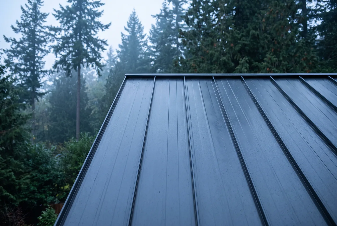 Metal Roofing in Whatcom County